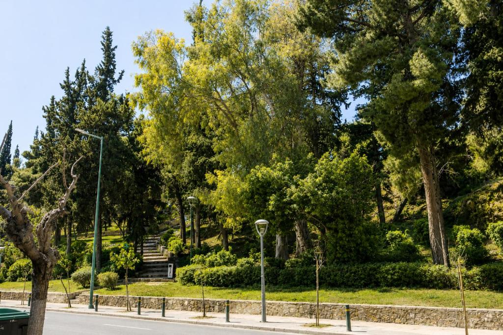 The tree-filled park directly opposite the loft, seen across a quiet Mets street